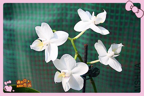 ��Ƭ 162_����.jpg