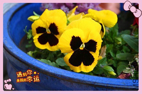 ��Ƭ 093_����.jpg