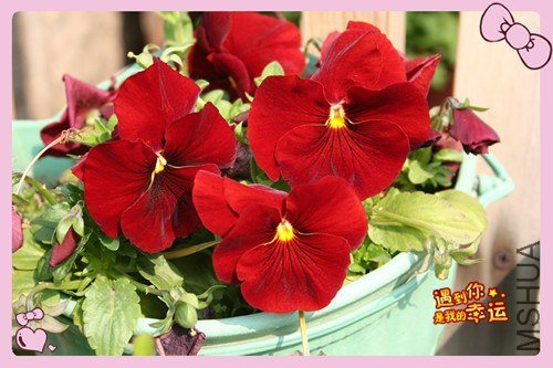 ��Ƭ 091_����.jpg