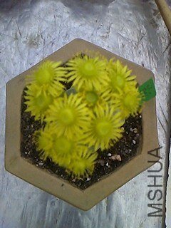 IMG0327154900.jpg