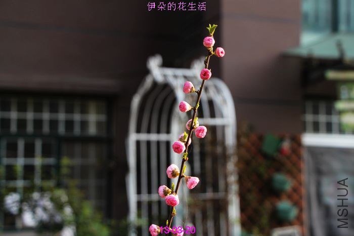 nEO_IMG_��Ƭ 144.jpg