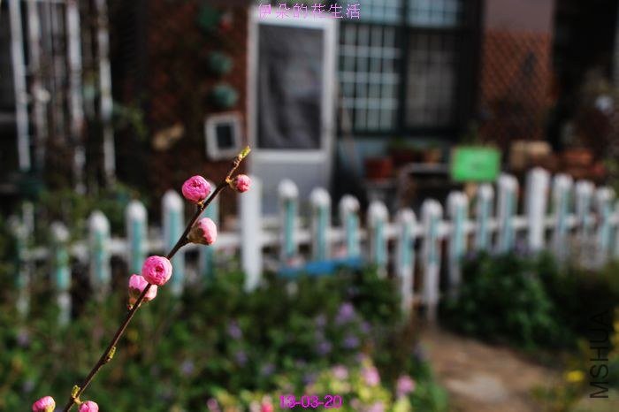 nEO_IMG_��Ƭ 146.jpg