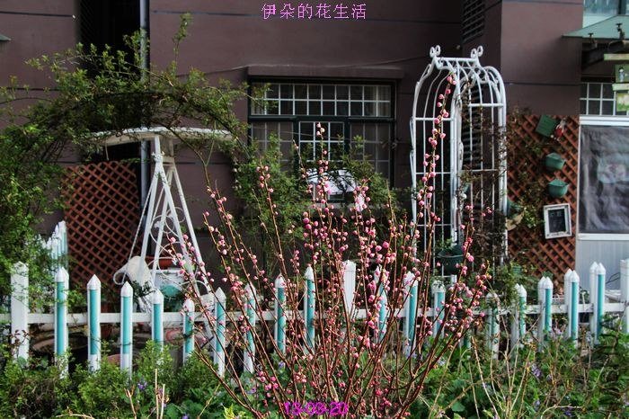 nEO_IMG_��Ƭ 149.jpg