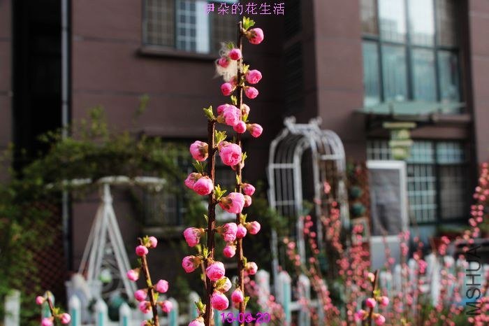 nEO_IMG_��Ƭ 150.jpg