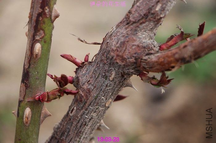 nEO_IMG_��Ƭ 259.jpg