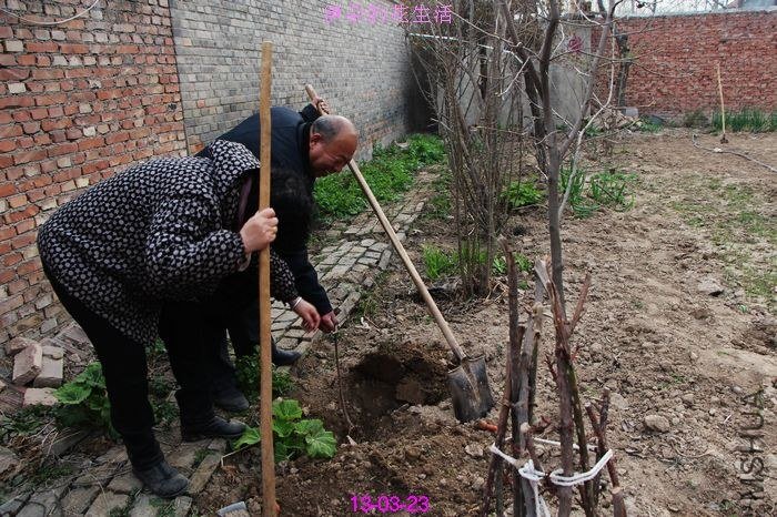 nEO_IMG_��Ƭ 260.jpg