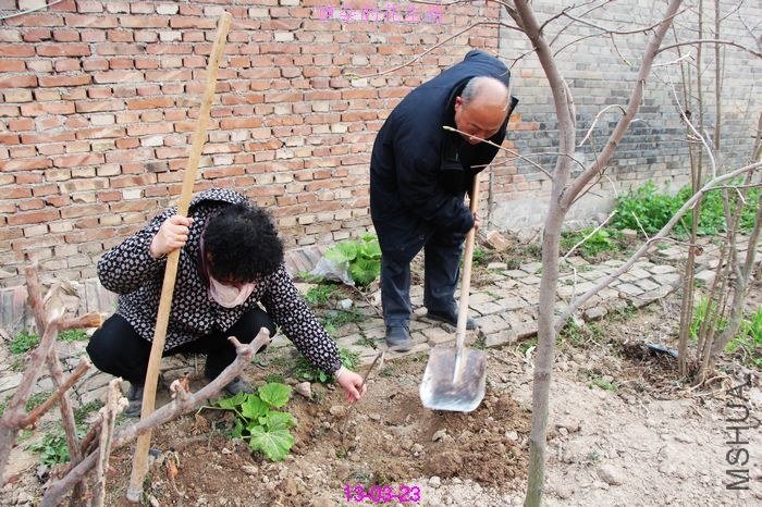 nEO_IMG_��Ƭ 262.jpg