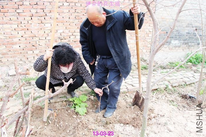 nEO_IMG_��Ƭ 263.jpg