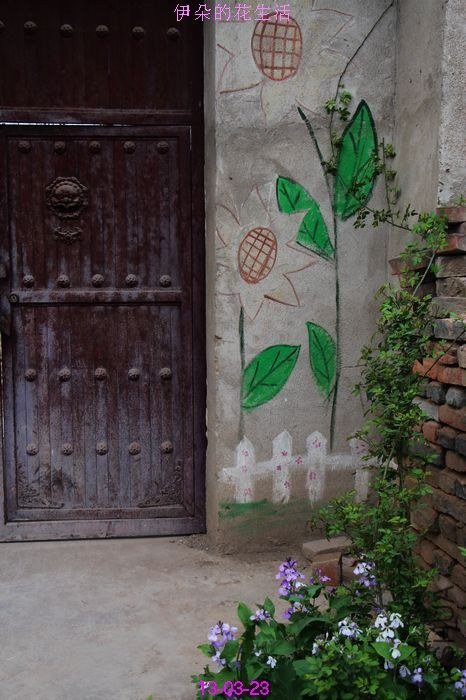 nEO_IMG_��Ƭ 289.jpg