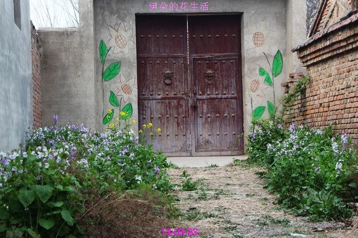 nEO_IMG_��Ƭ 284.jpg