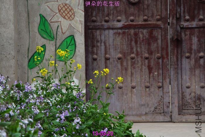 nEO_IMG_��Ƭ 285.jpg