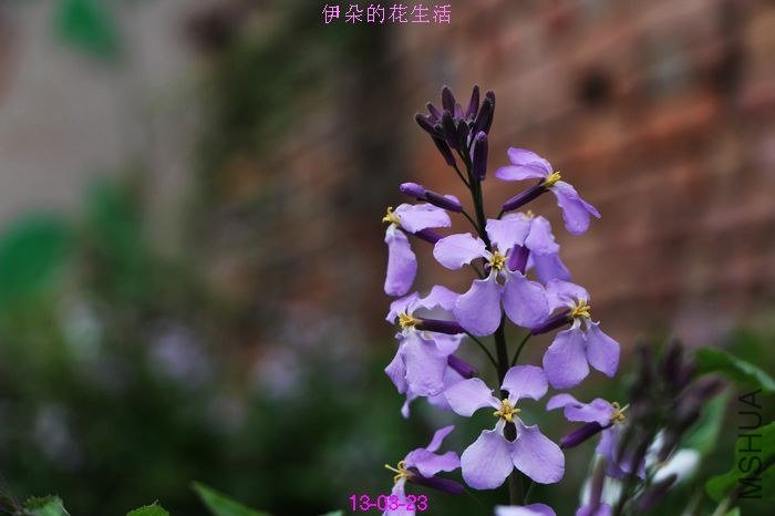 nEO_IMG_��Ƭ 287.jpg