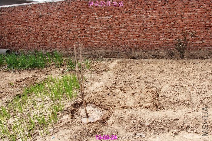 nEO_IMG_��Ƭ 394.jpg