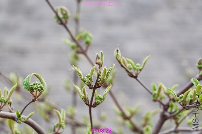 nEO_IMG_��Ƭ 319.jpg