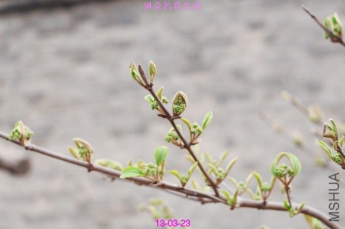 nEO_IMG_��Ƭ 320.jpg