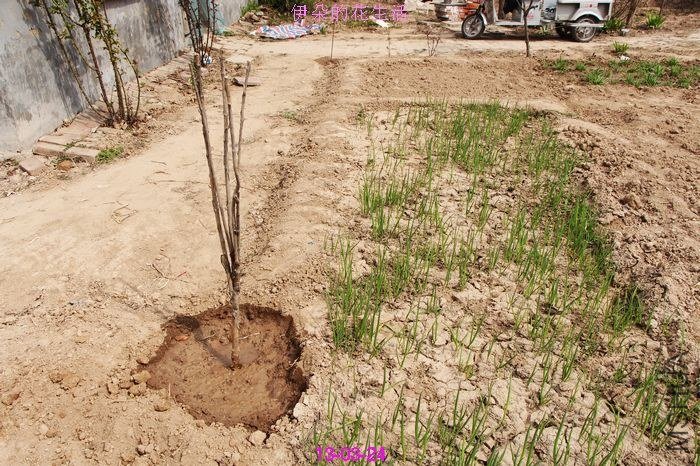 nEO_IMG_��Ƭ 396.jpg