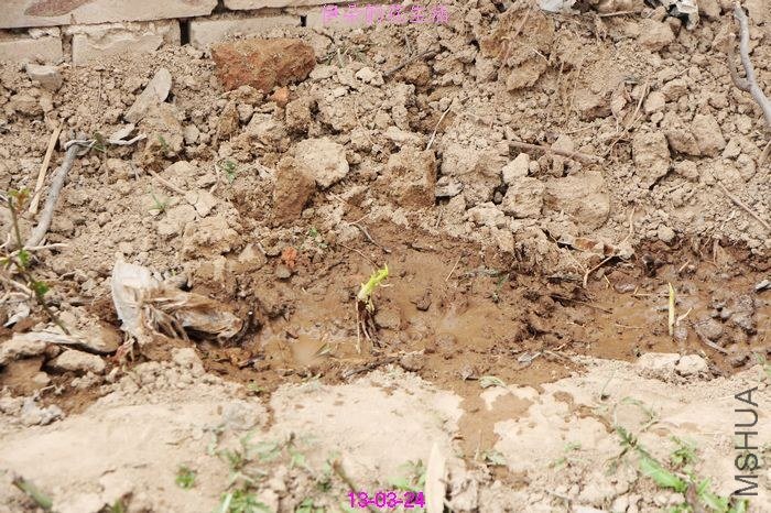 nEO_IMG_��Ƭ 397.jpg