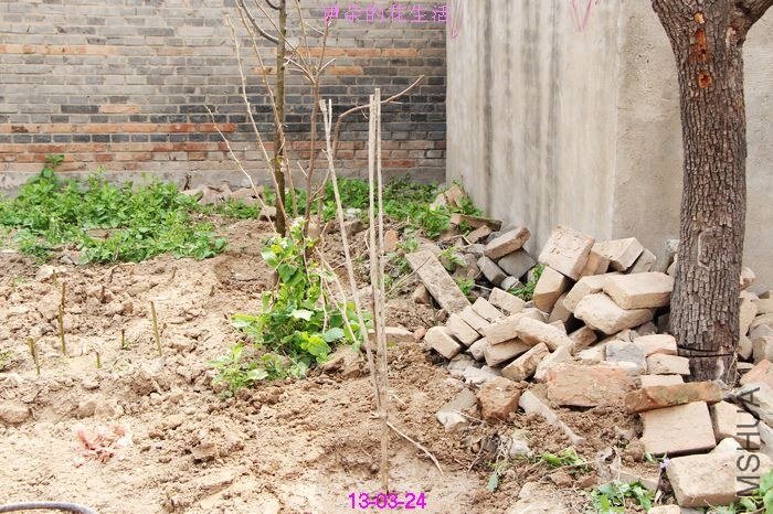 nEO_IMG_��Ƭ 398.jpg