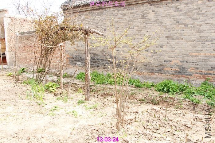 nEO_IMG_��Ƭ 399.jpg