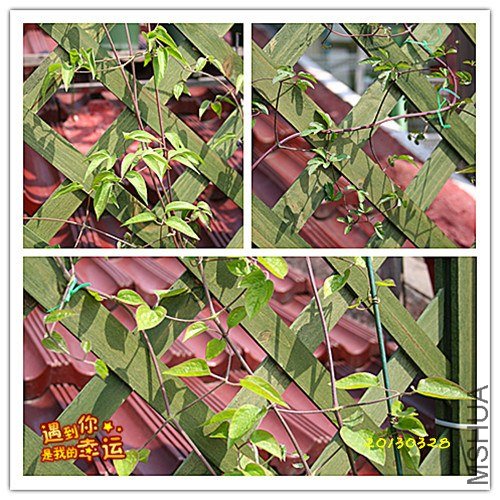 38��Ƭ 074_����.jpg