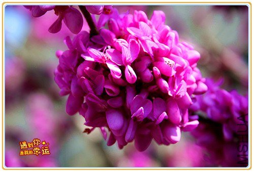 ��Ƭ 036_����.jpg