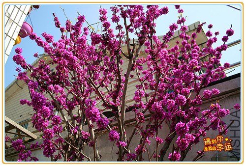 ��Ƭ 027_����.jpg