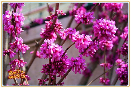 ��Ƭ 035_����.jpg