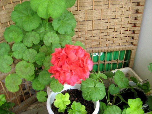 ��Ƭ 234_����.jpg