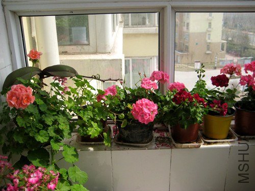 ��Ƭ 236_����.jpg