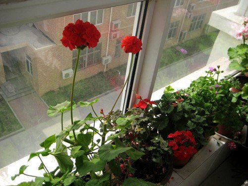 ��Ƭ 240_����.jpg