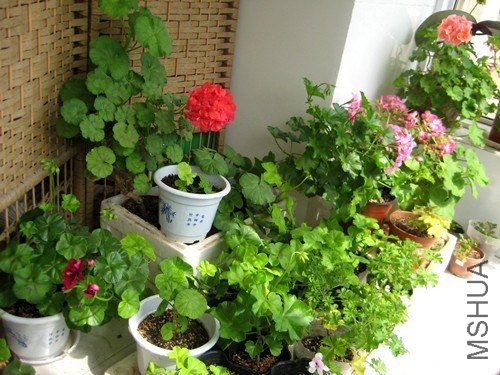 ��Ƭ 247_����.jpg