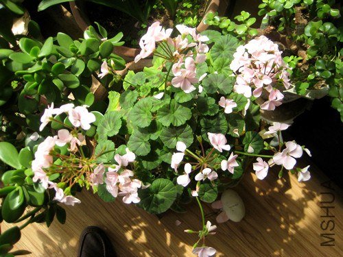 ��Ƭ 248_����.jpg