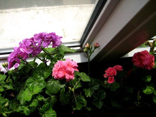 ��Ƭ 253_����.jpg