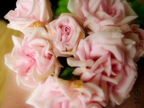 ��Ƭ 258_����_����.jpg