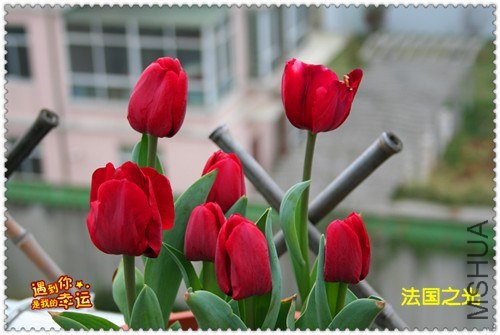 ��Ƭ 015_����.jpg