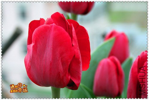 ��Ƭ 017_����.jpg