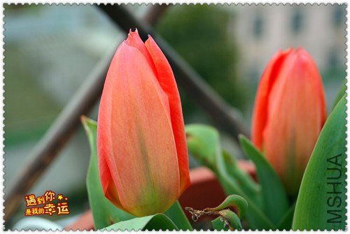 ��Ƭ 029_����.jpg