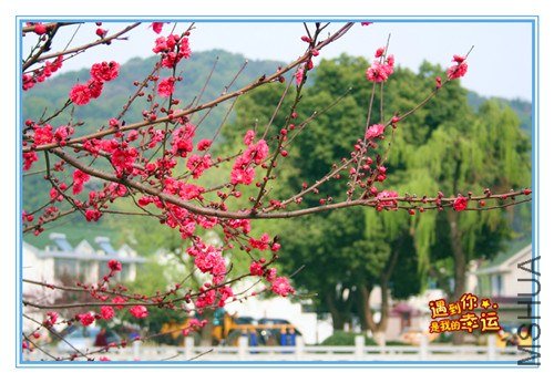 ��Ƭ 097_����.jpg