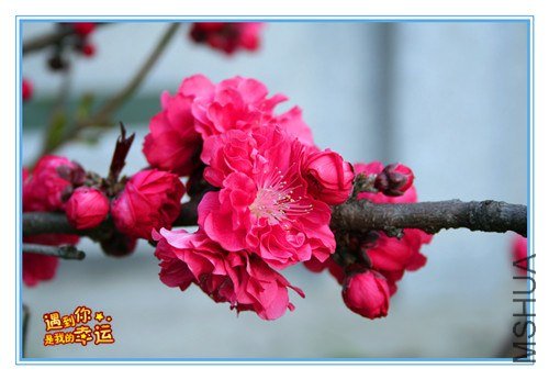 ��Ƭ 103_����.jpg