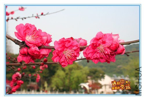 ��Ƭ 106_����.jpg