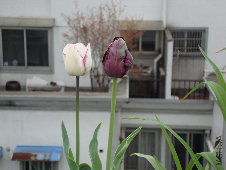 DSC02088.JPG