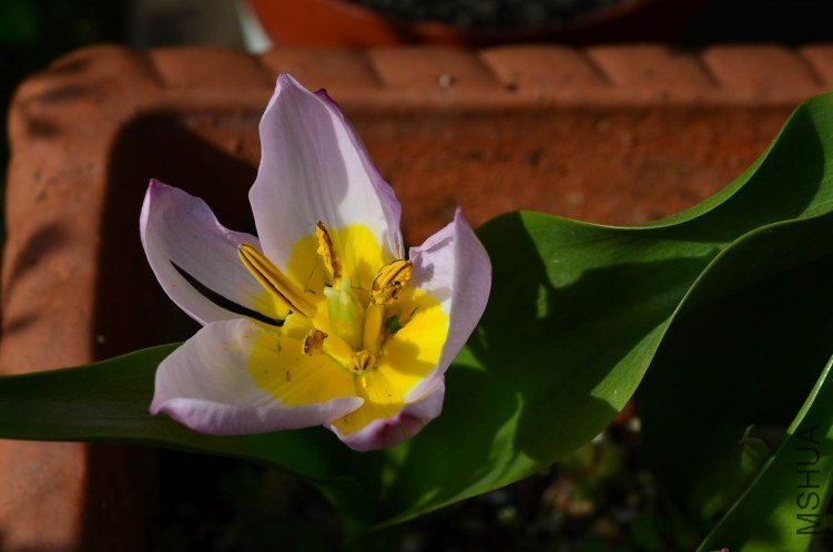 ������С ������20130325 004.JPG