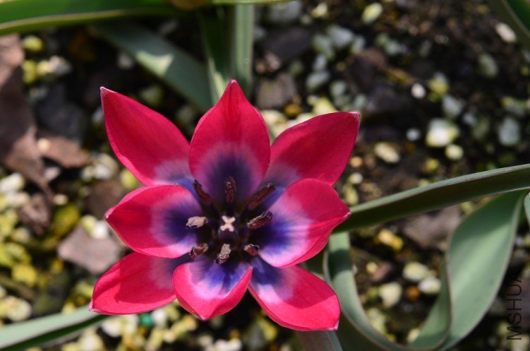 С����20130328 001 ��ؐ.JPG