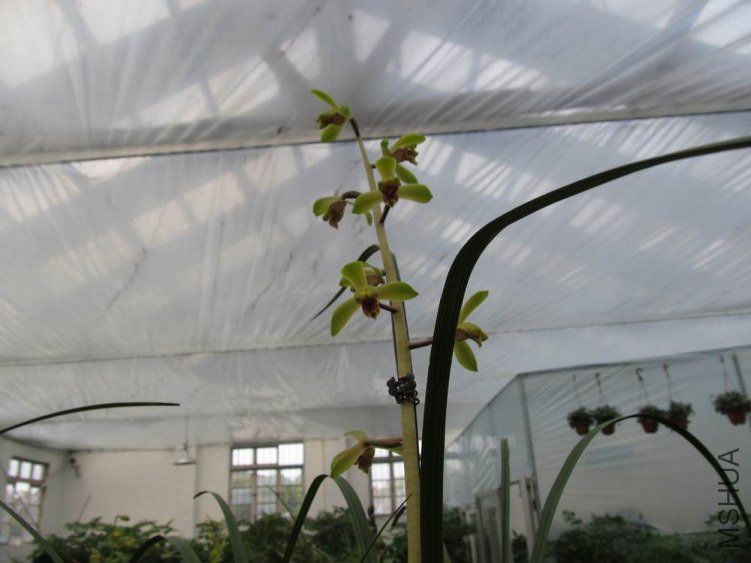 ������С IMG_1857.JPG