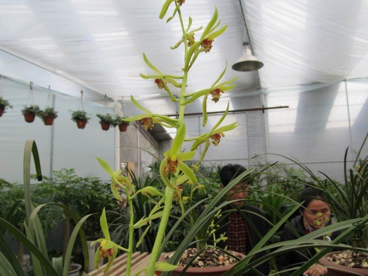 ������С IMG_1869.JPG