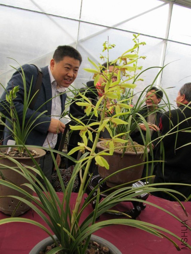 ������С IMG_1875.JPG