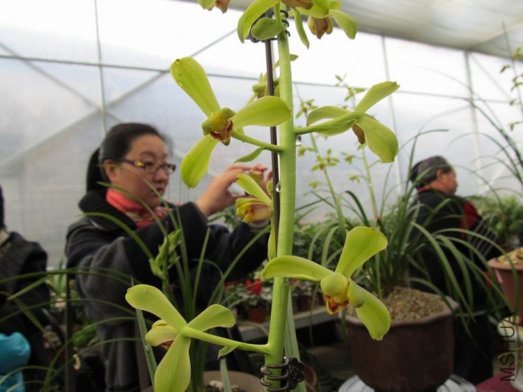 ������С IMG_1878.JPG