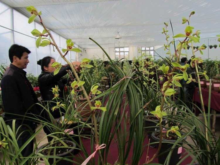 ������С IMG_1891.JPG