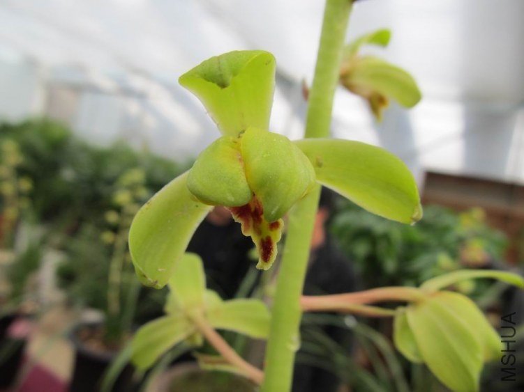 ������С IMG_1916.JPG