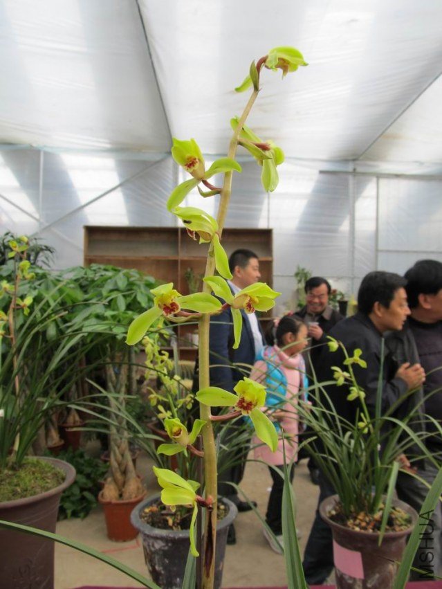 ������С IMG_1917.JPG